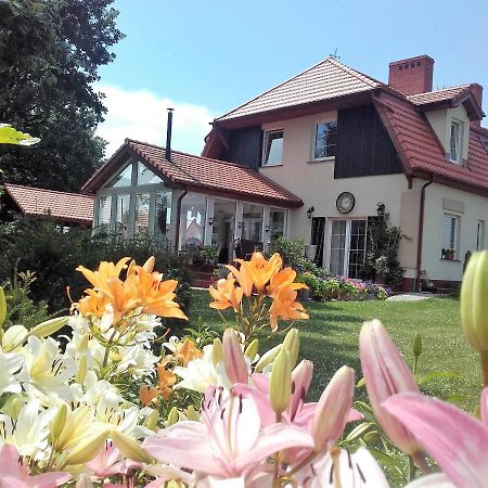 Willa Za Debami Aparthotel Głogów Екстериор снимка
