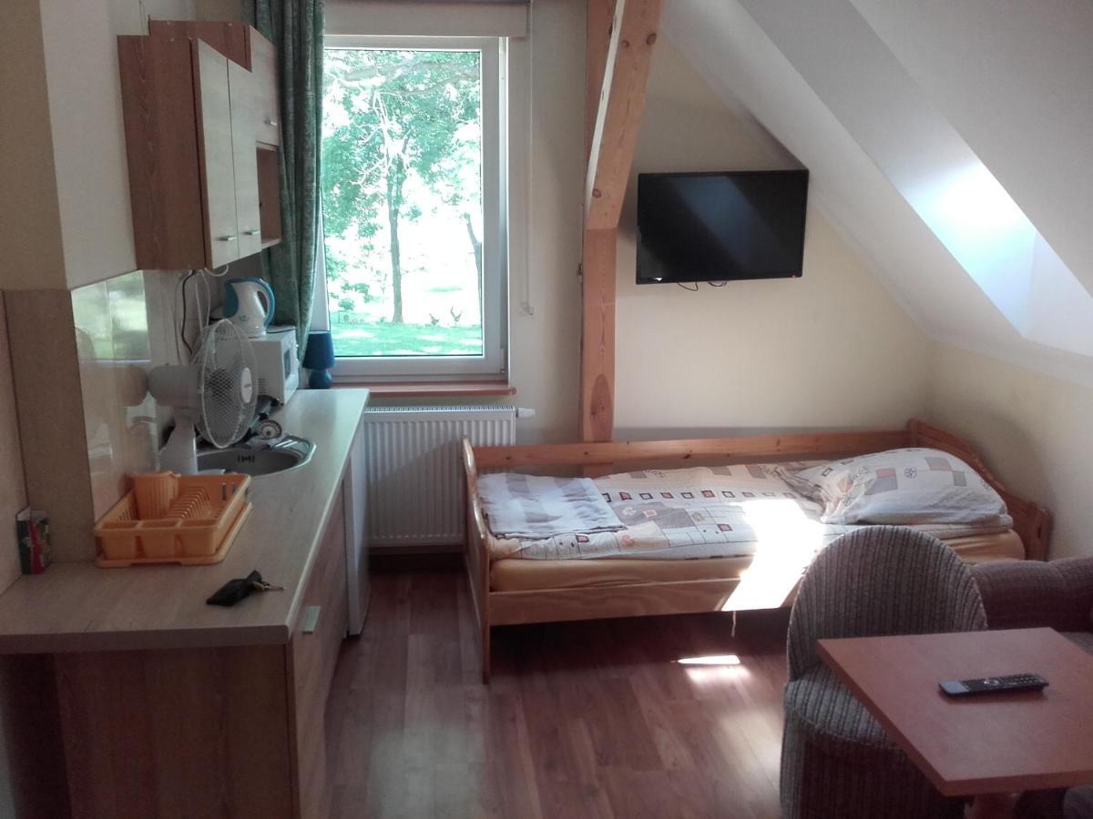 Willa Za Debami Aparthotel Głogów Екстериор снимка